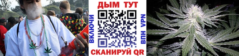 Метадон Стародуб
