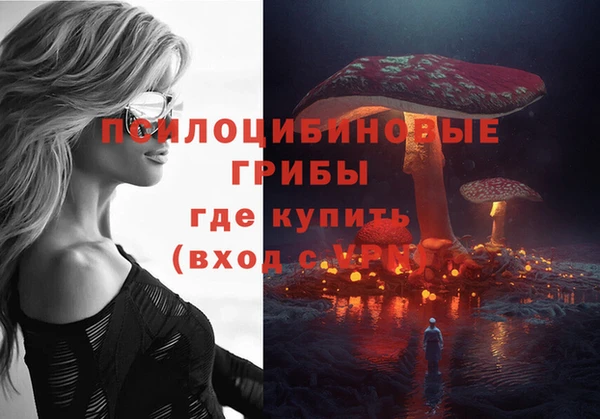 а пвп мука Аркадак